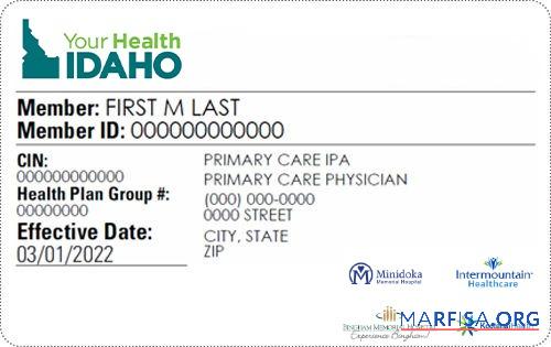 Blank Idaho health insurance card template